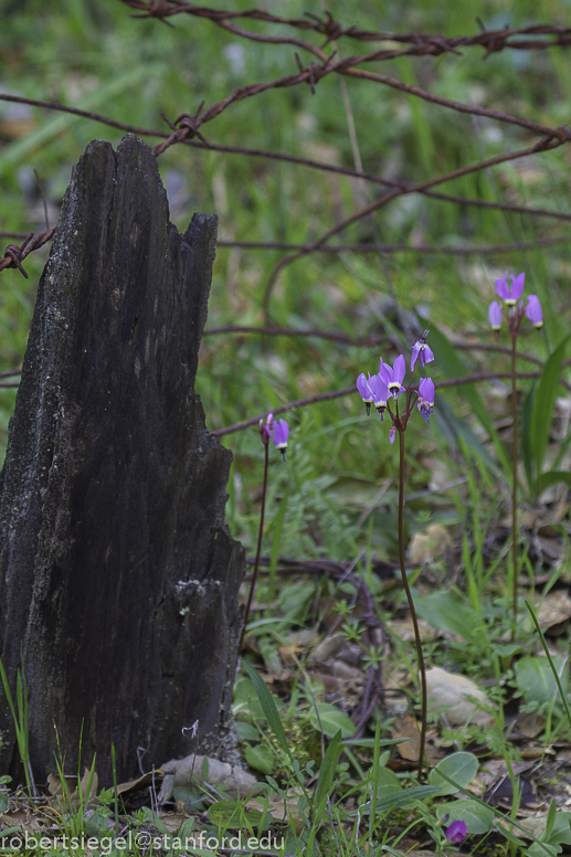 nature constrained